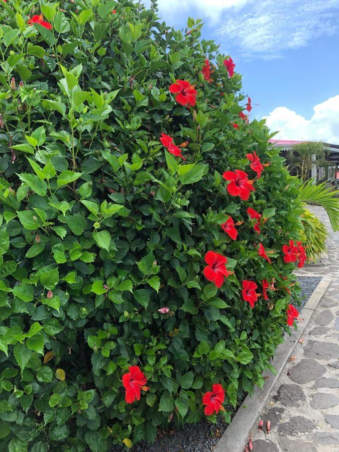 Lovely Apartment In Flic En Flac, Close To The Beach And All Amenities. Flic en Flac Exterior foto